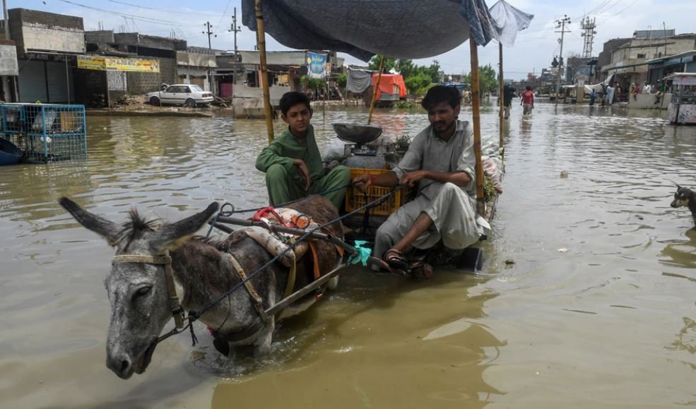 कुदरत का सितम : पाकिस्तान में भारी बारिश और बाढ़ से तबाही, कई इलाके में डूबे, पुल व सड़कें बही