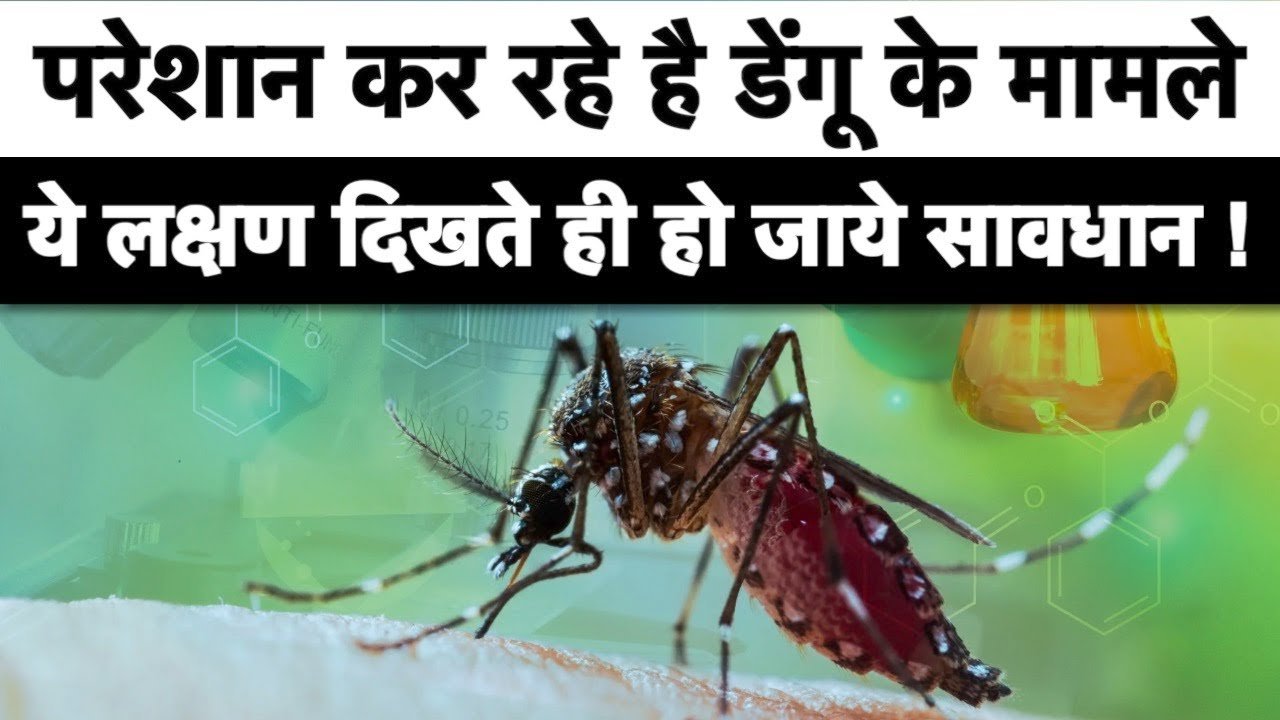 Dengue: बारिश के साथ तेजी से बढ़ रहे हैं डेंगू के मामले, ये लक्षण दिखते ही तुरंत डॉक्टर के पास भागे